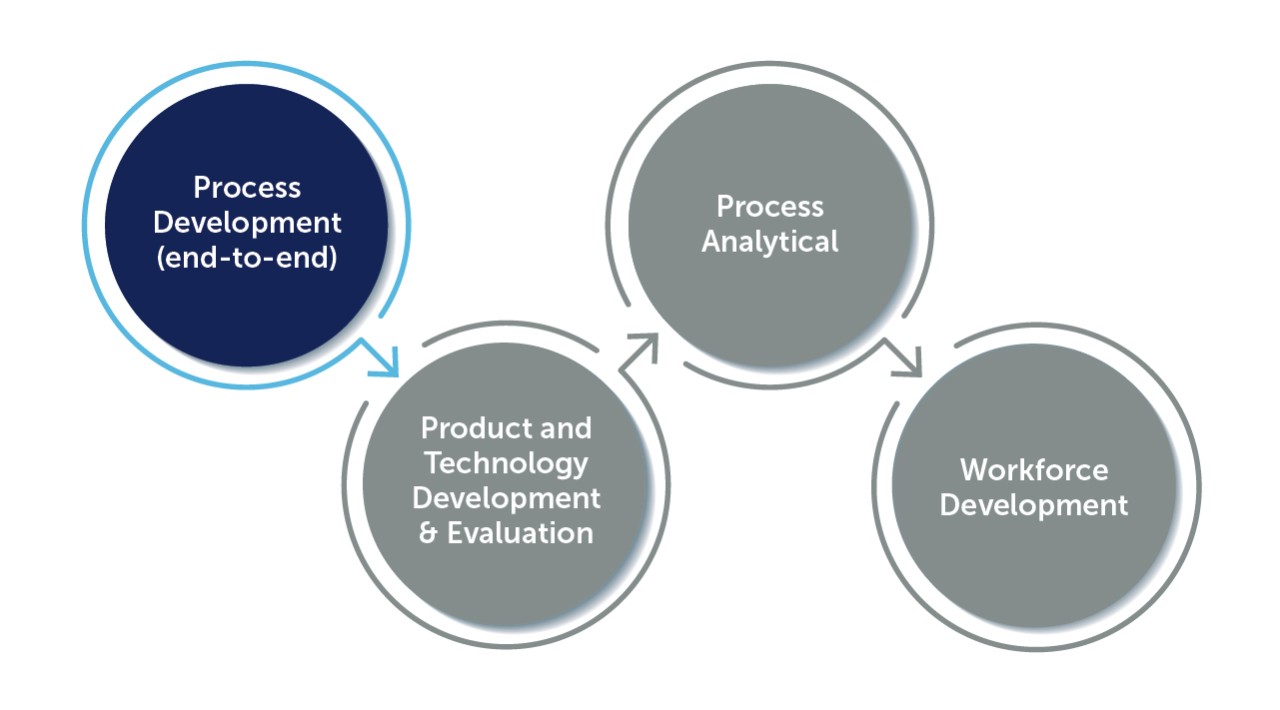 JIB Services graphic: Process Development (End-to-End)